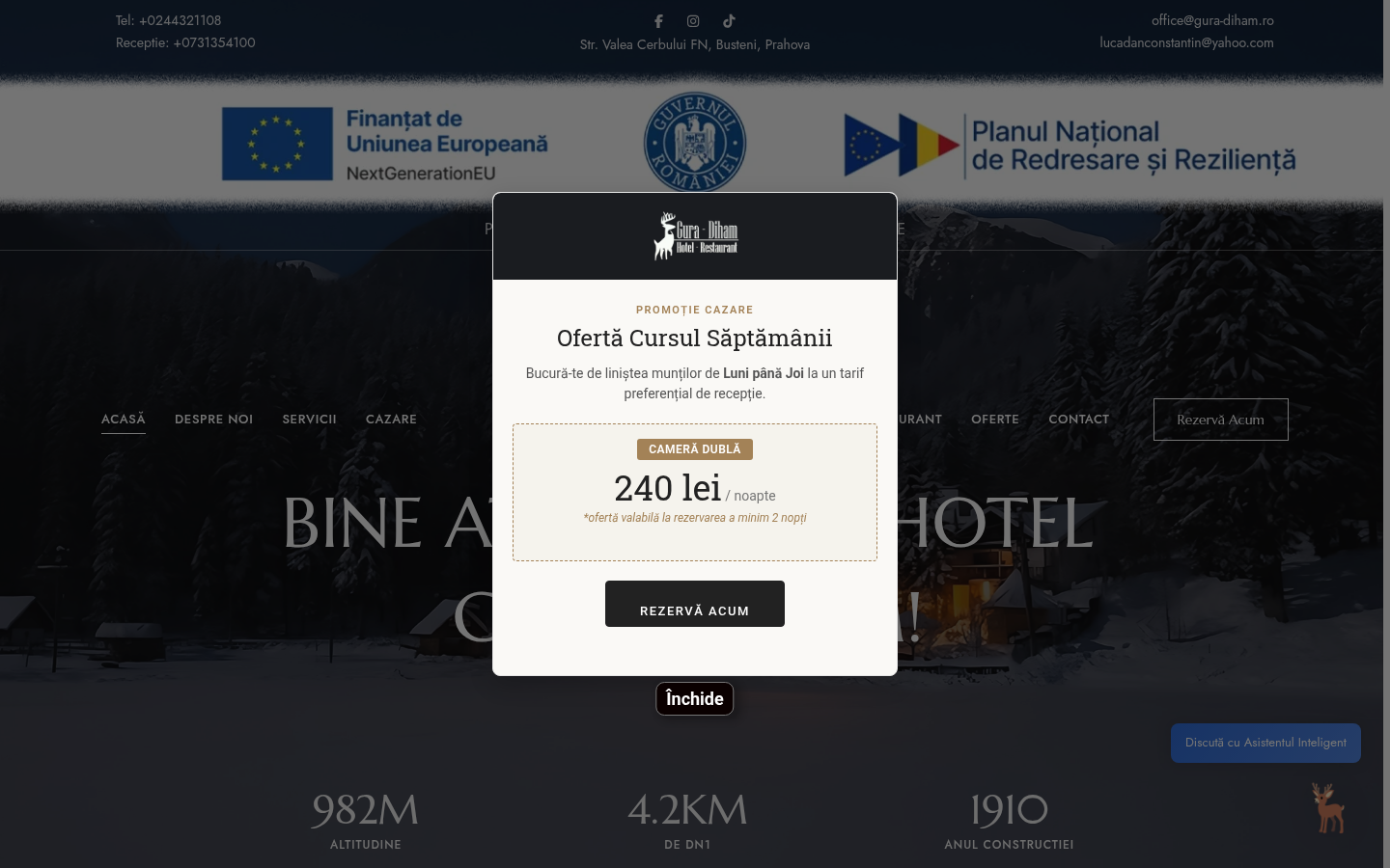 Site analizat
