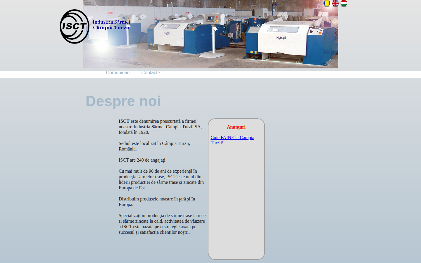 Site analizat