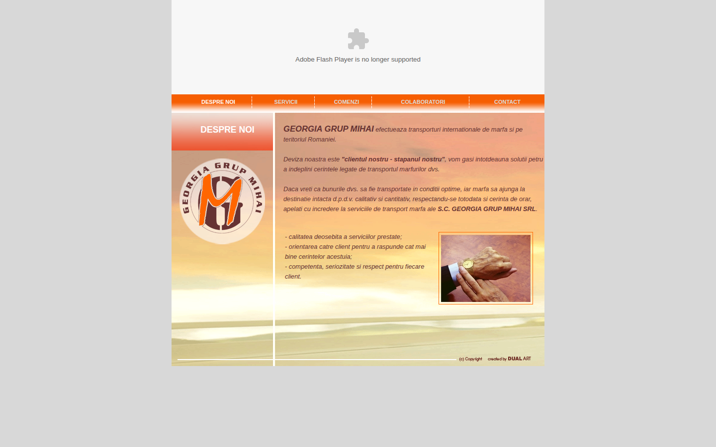 Site analizat