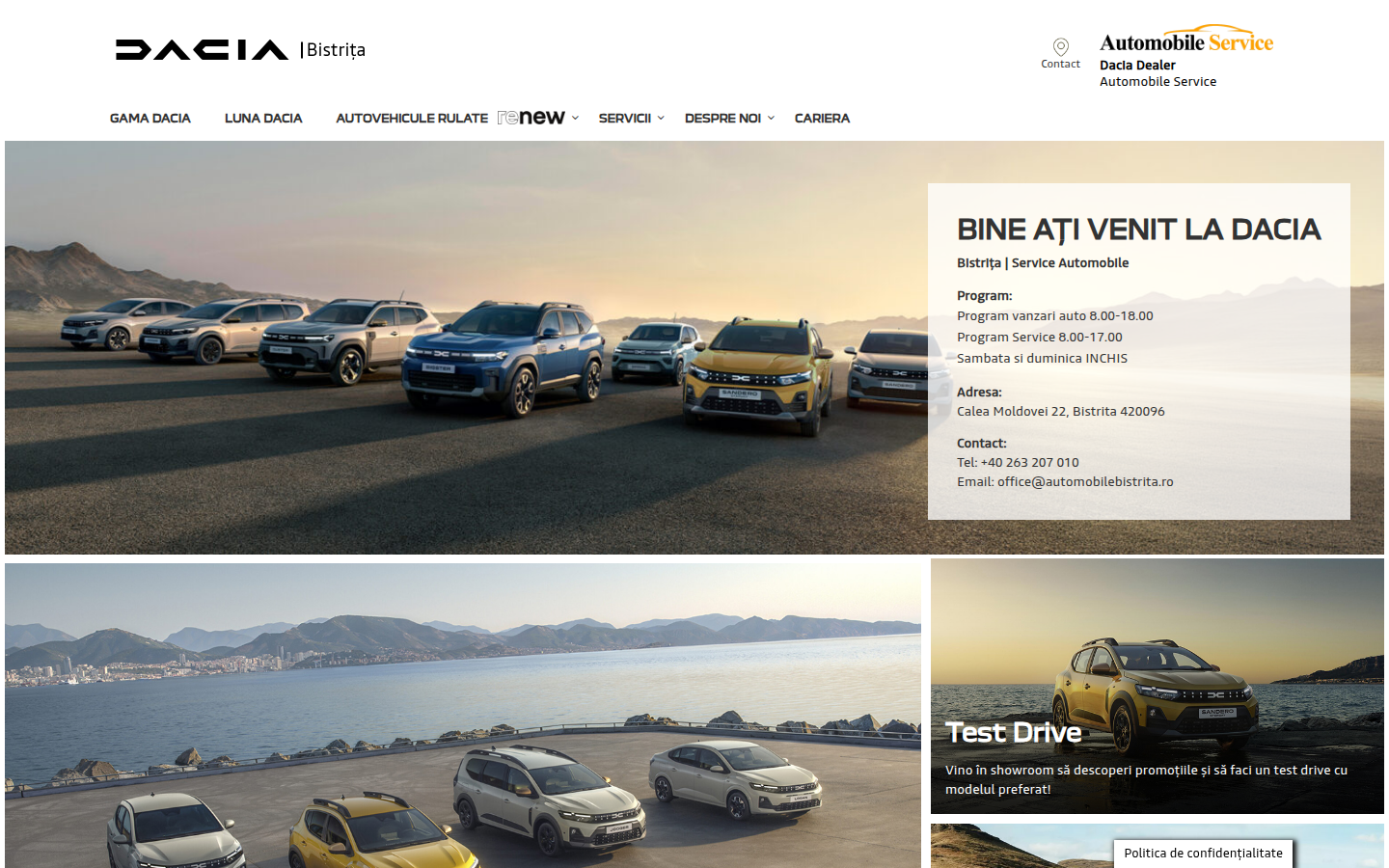 Site analizat