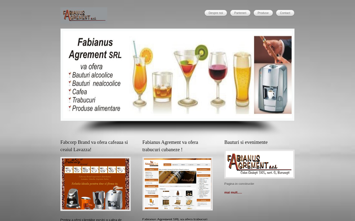 Site analizat
